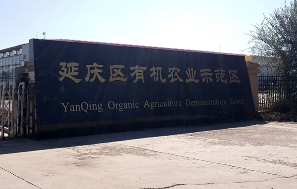 溫室大棚中使用臭氧發(fā)生器需要注意哪些問題(圖2) 溫室大棚中使用臭氧發(fā)生器需要注意哪些問題(圖2)